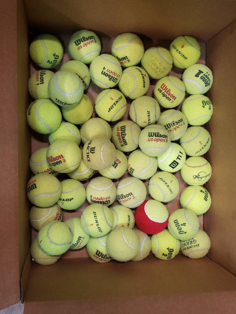 50 USED TENNIS BALLS